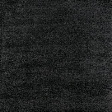 Haze Solid Low-pile Area Rug Black